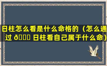 日柱怎么看是什么命格的（怎么通过 🐞 日柱看自己属于什么命）